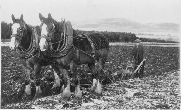 A Day In The Hayfields